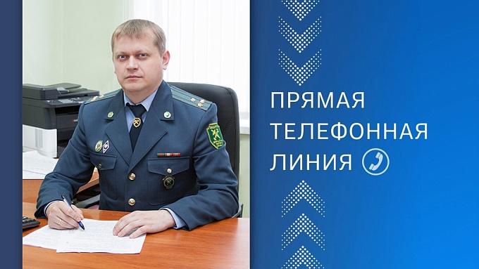 novosti
